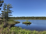 Julian Bay Bog