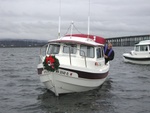 Anna Leigh - The Christmas Boat