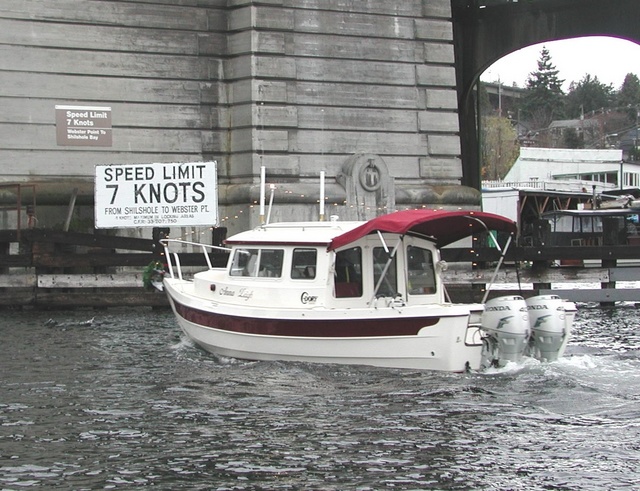 Anna Leigh Under University Bridge