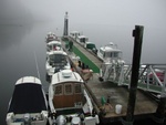 Foggy Saturday Morning at the Dock.jpg