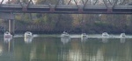 C-Pod Under Bridge at Snohomish 