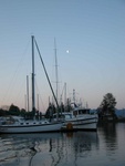 (Primative) 
moon over Cathlamet
fish time