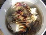 Crab Boil...Yumm!Good Work Doug!!