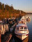 (Pat Anderson) Saturday Morning at the Sequim Bay State Park Dock