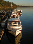 (Pat Anderson) Saturday Morning at the Dock, Another Shot