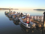 (Pat Anderson) Saturday Morning, the Other Side of the Dock!