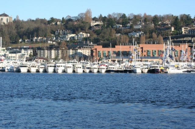 Seattle Boats A Float