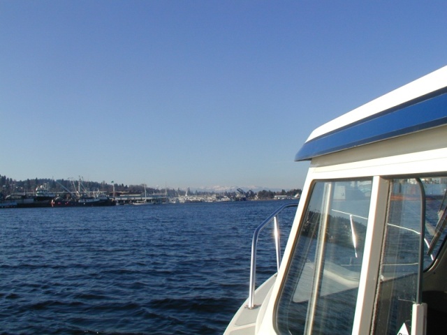 typical sunny Jan. day in Seattle