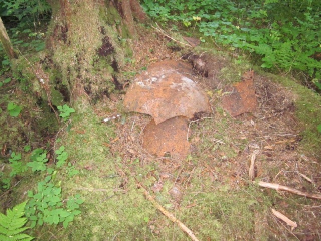 Dinosaur egg? No, its the remains of a large cast iron cooking kettle. The handle loop is just visible.