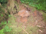 Dinosaur egg? No, its the remains of a large cast iron cooking kettle. The handle loop is just visible.