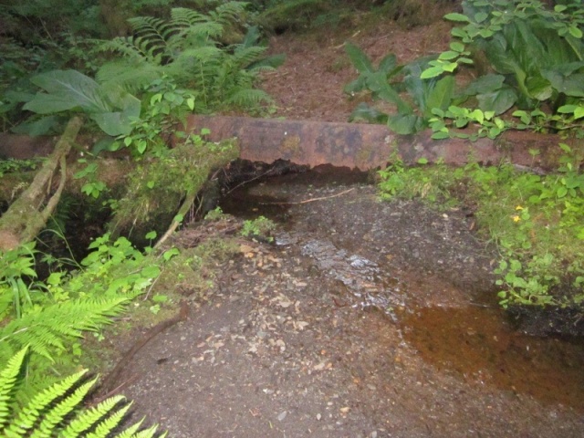 Only the top half of this old water pipe remains.  This pipe was made of formed and riveted steel and fed water to a salmon cannery from ~1900 to ~1933