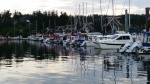 View back from the breakwater.