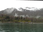 Not all Glacier Bay even this early is all rock, ice & snow
