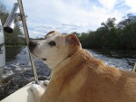 Lily\'s favorite spot on the boat.