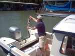 (Cygnet) Pounder preparing for cruising