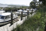 The fleet moored at the Duck Club dock. 