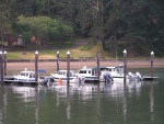 (Dora~Jean) All lined up at Angel Island, SF Bay, left to right: Salty-C's, Pounder, Dora~Jean, Discovery.