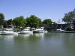 C-Dory line up at Delta Marina