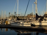 AT&T Park (Home of the Giants)