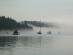 Fog coming in at Reid Harbor