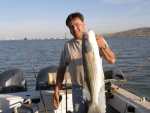 Striper...caught on sturgeon bait