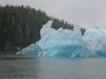 Tracy Bay, South of Juneau, AK  Much Better than Glaicer Bay