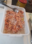 freshly boiled shrimp