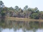 Apalachicola River