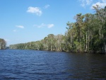 Apalachicola River