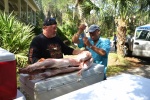 Danny and Marc inject the pig for the box