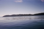 Whales at Naked Island, Prince William Sound, June 04