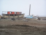 Weathered CDs in Kaktovik