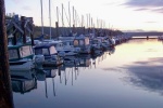 Friday Harbor C-Dorys at Dawn