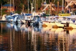 Friday Harbor C-Dorys at Dawn