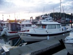 Beagle at Friday Harbor gathering