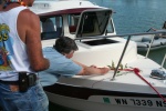 Kingfisher christening