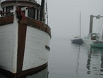 Fishing Boat Tofino B.C. Harbor
