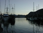 Fishing Boats Tofino Harbor