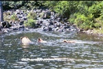 Mother & cubs fishing