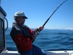 Halibut Fishing Cook Inlet