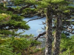 Bass Harbor Naked Island