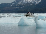 Shiroz In the Ice