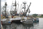 Seiners were stacked up in Sitka