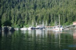 Outer Harbor at Elfin Cove