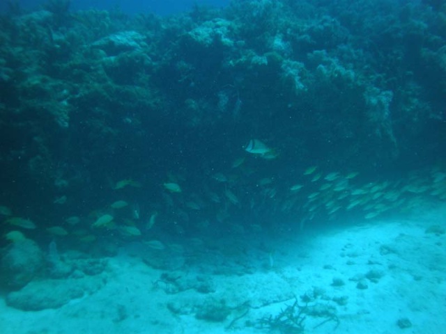 Another underwater ledge