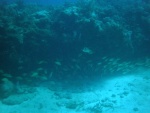 Another underwater ledge