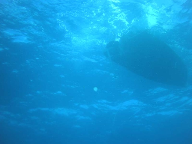 What the bottom of a C-Dory 16 looks like from a vantage of 20 feet underwater