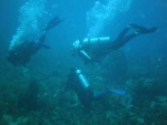 C-Dory diving companions in the Florida Keys