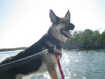 We had an enjoyable ride back into the JP state park in through the salt water mangroves