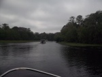 C Dory train on the St Johns river